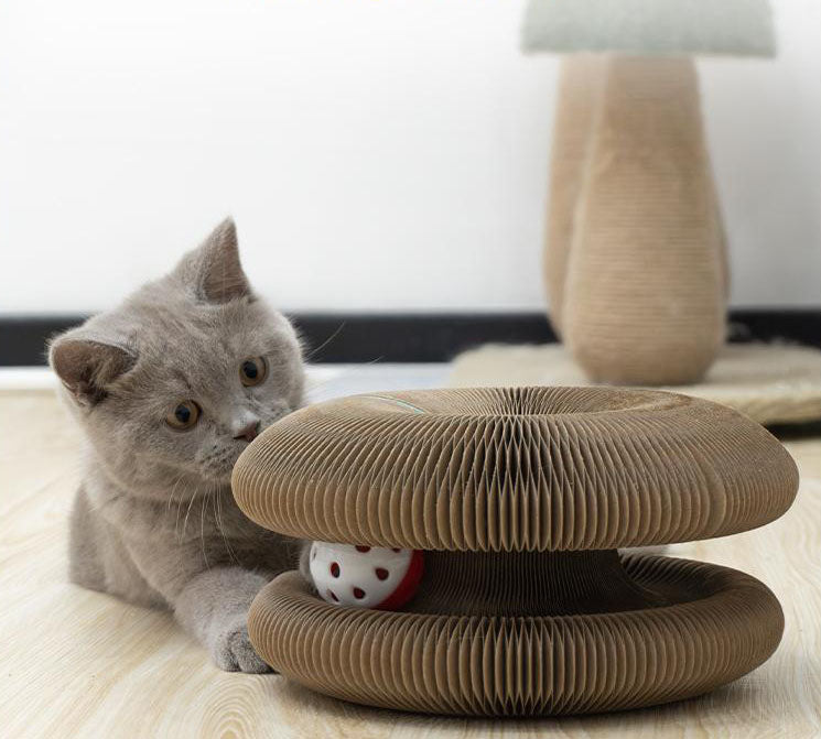 FéliSpin - Jouet Ludique et Relaxant pour Chats