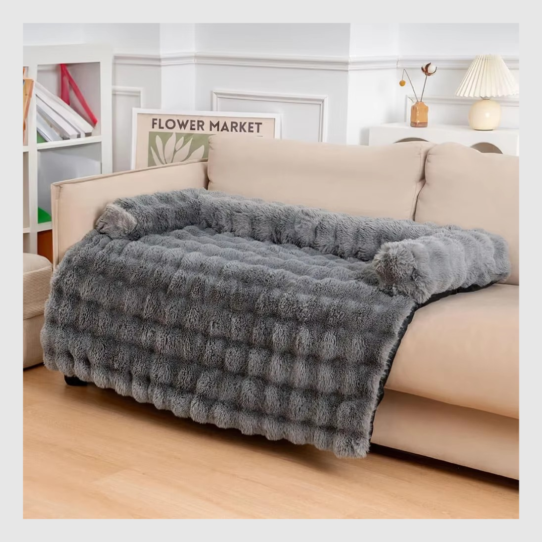 CozyGuard™ : Confort pour votre chien, protection pour vos meubles
