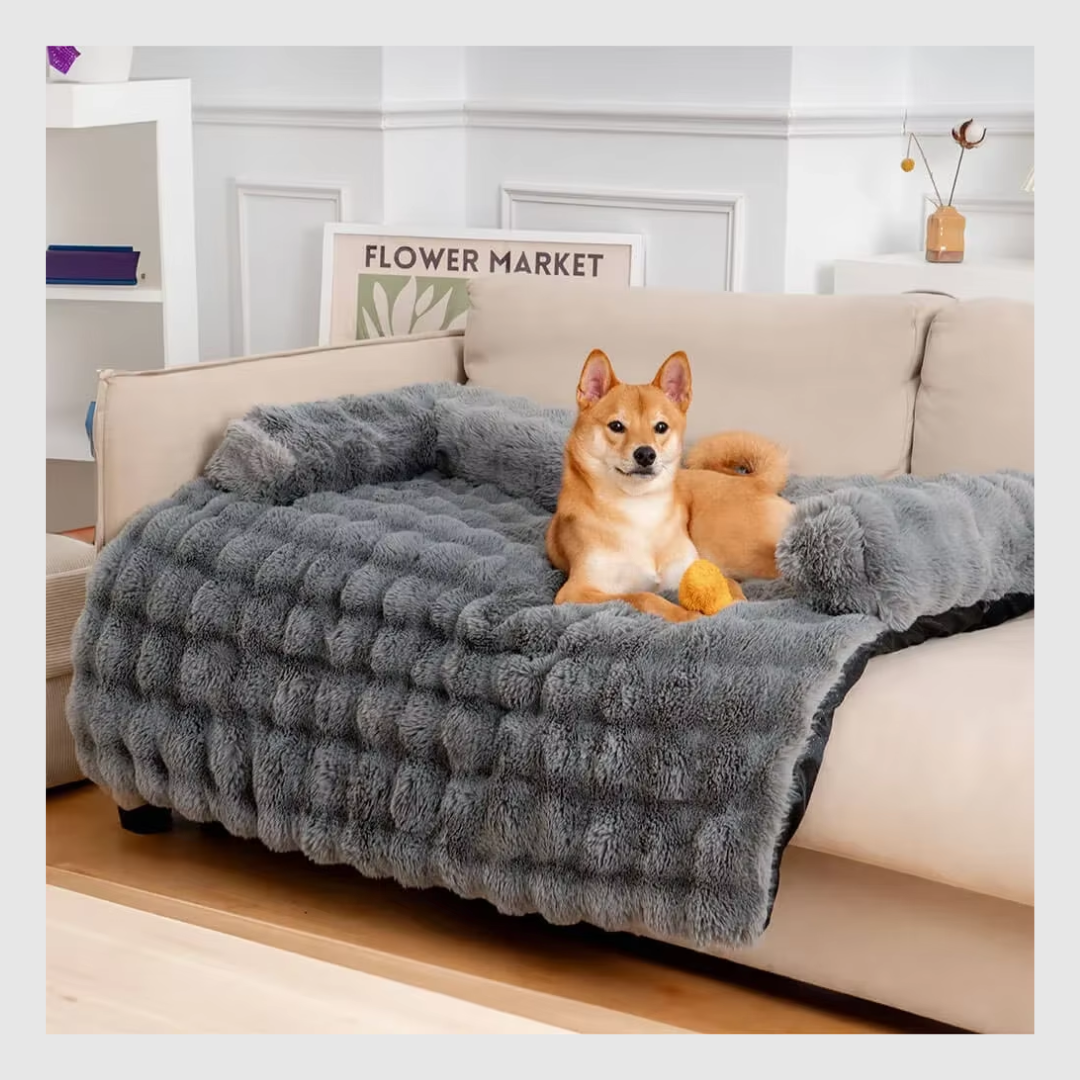 CozyGuard™ : Confort pour votre chien, protection pour vos meubles