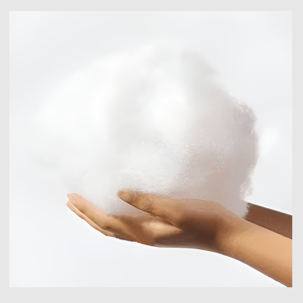 CozyGuard™ : Confort pour votre chien, protection pour vos meubles