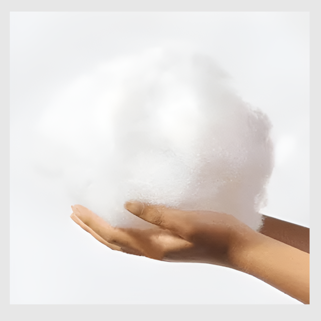 CozyGuard™ : Confort pour votre chien, protection pour vos meubles