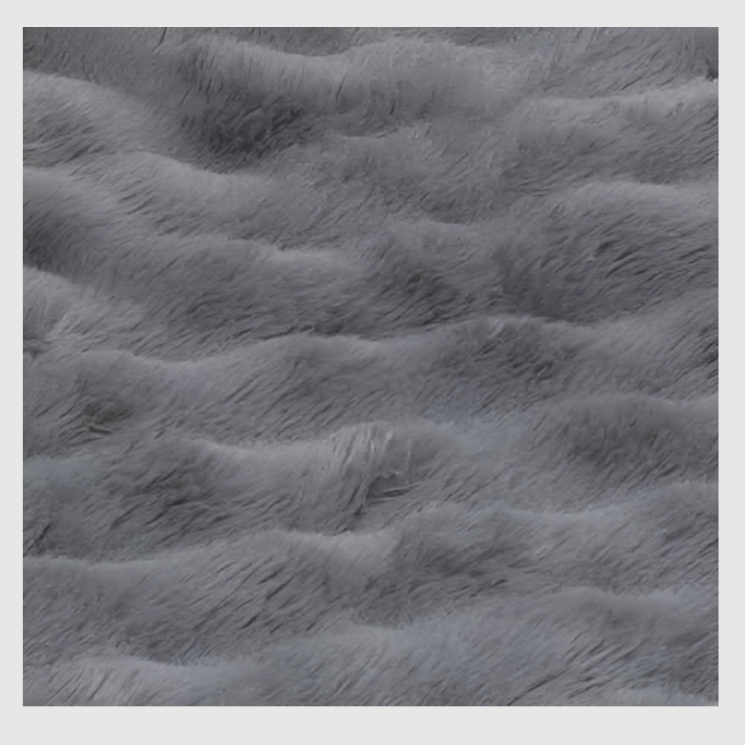 CozyGuard™ : Confort pour votre chien, protection pour vos meubles