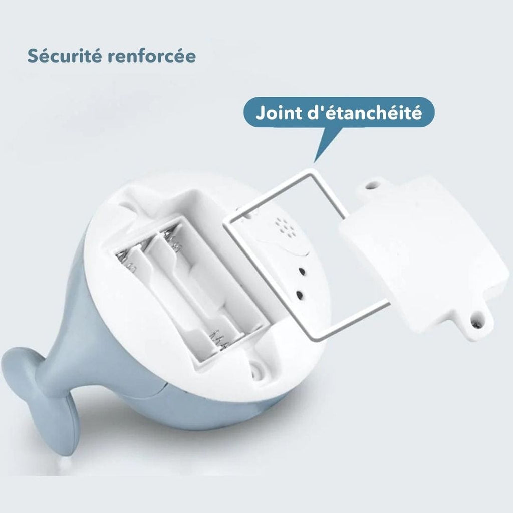 Willi -la Baleine d'Éveil