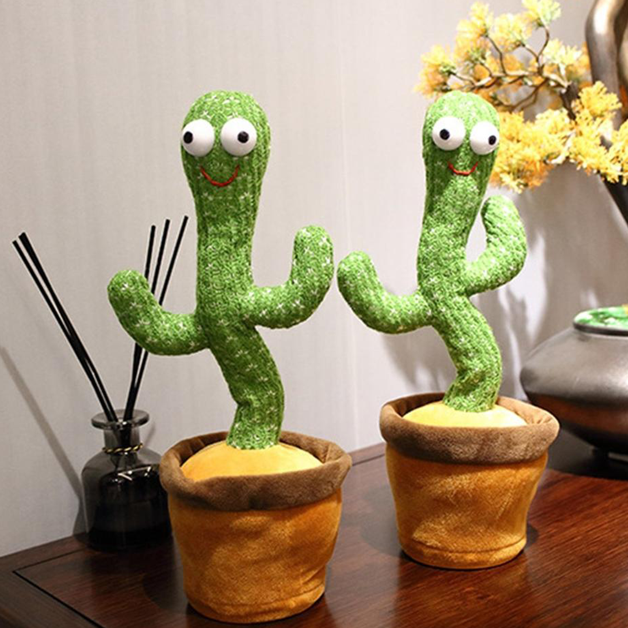 Cactus dansant BERDA™