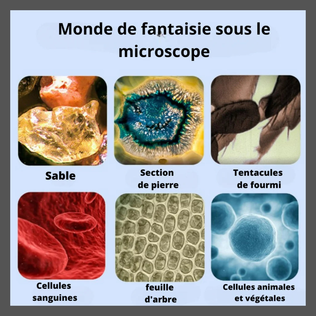 MICROSCOPE PORTATIF POUR ENFANTS - MICROPOCHE BERDAQUEBEC™