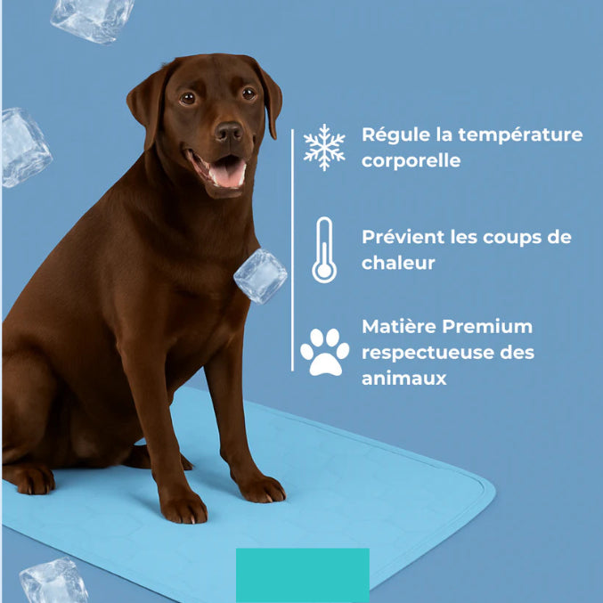 Tapis Rafraîchissant pour Animaux
