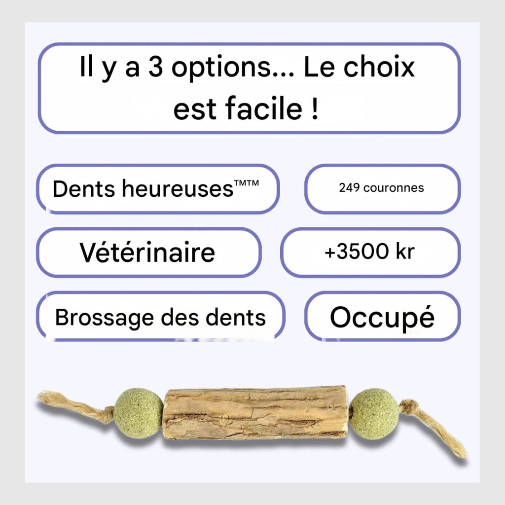 Griffinet™-Jouet de nettoyage des dents à l'herbe à chat