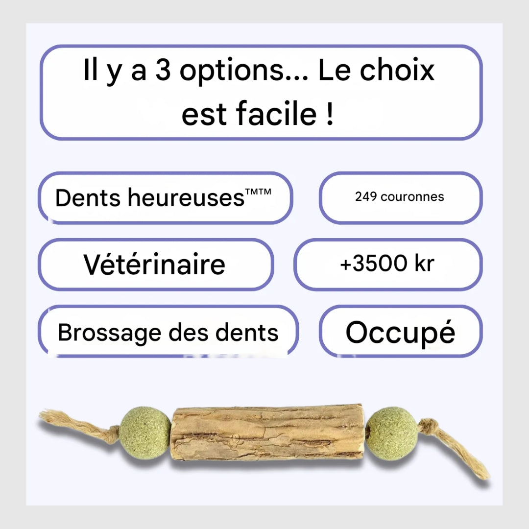 Griffinet™-Jouet de nettoyage des dents à l'herbe à chat