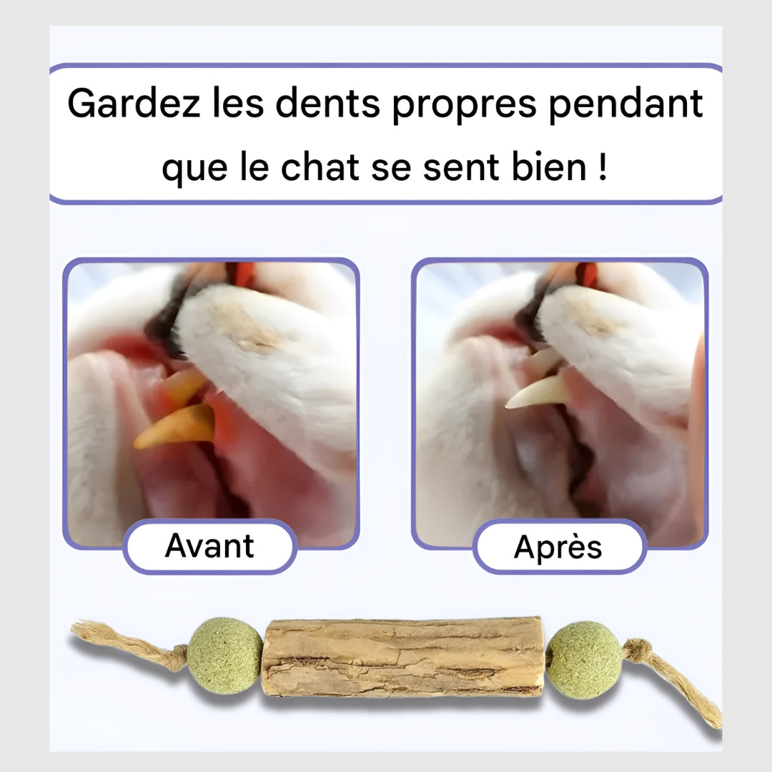 Griffinet™-Jouet de nettoyage des dents à l'herbe à chat