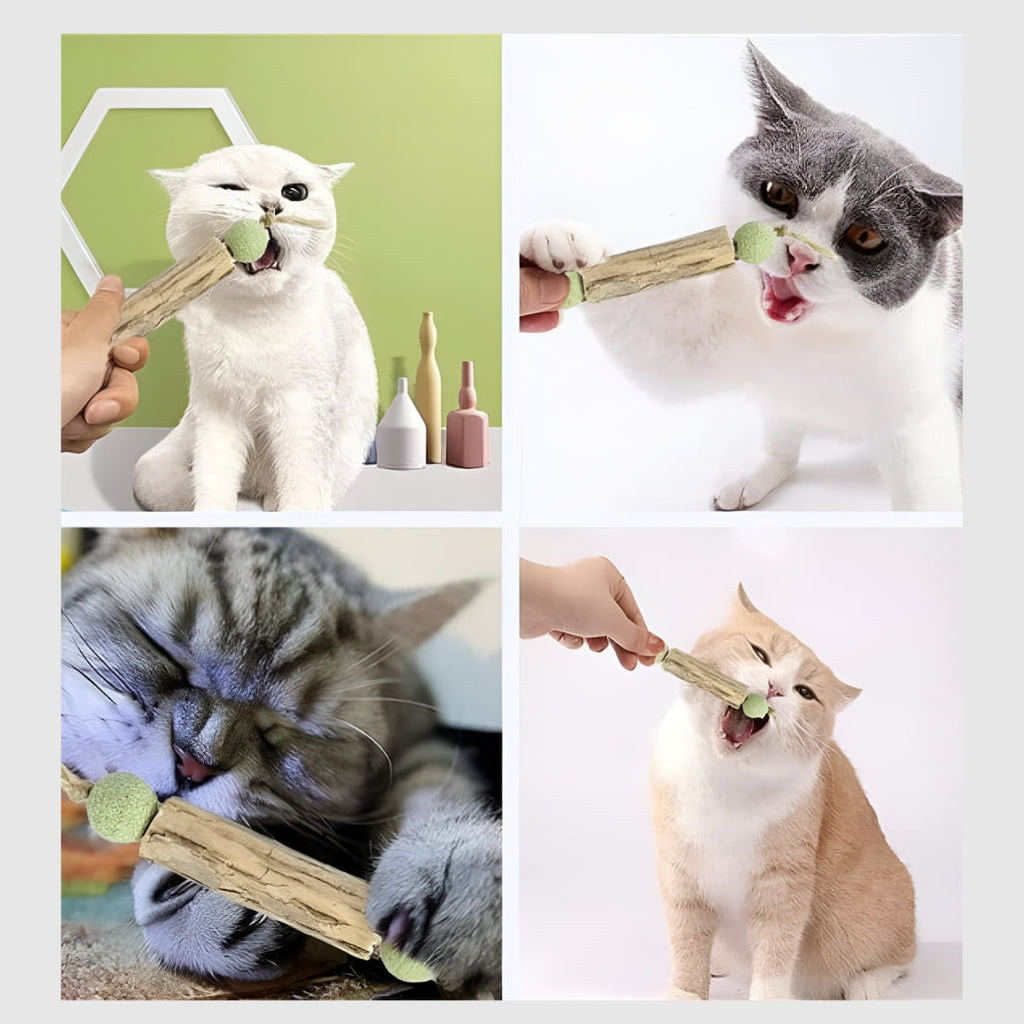 Griffinet™-Jouet de nettoyage des dents à l'herbe à chat