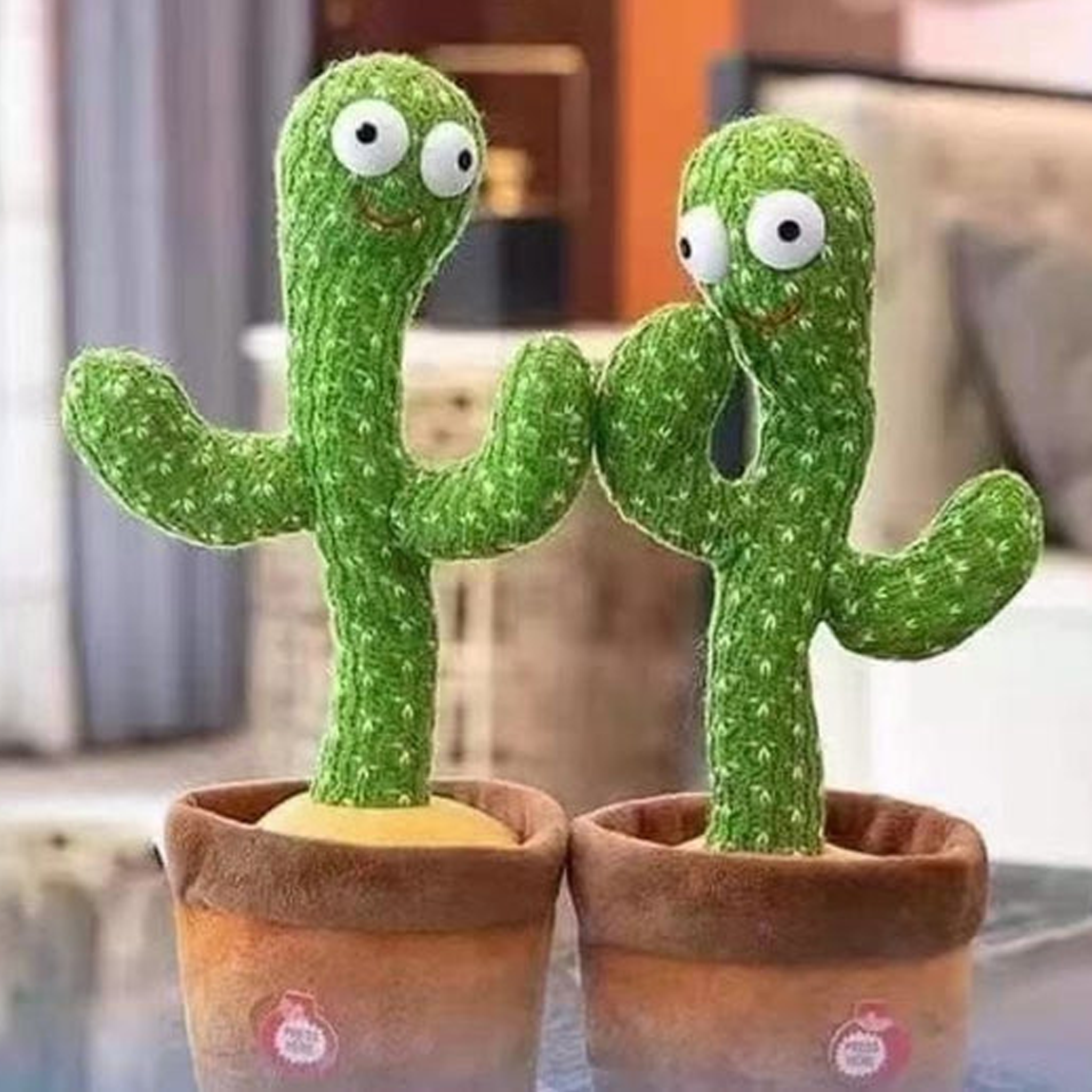Cactus dansant BERDA™