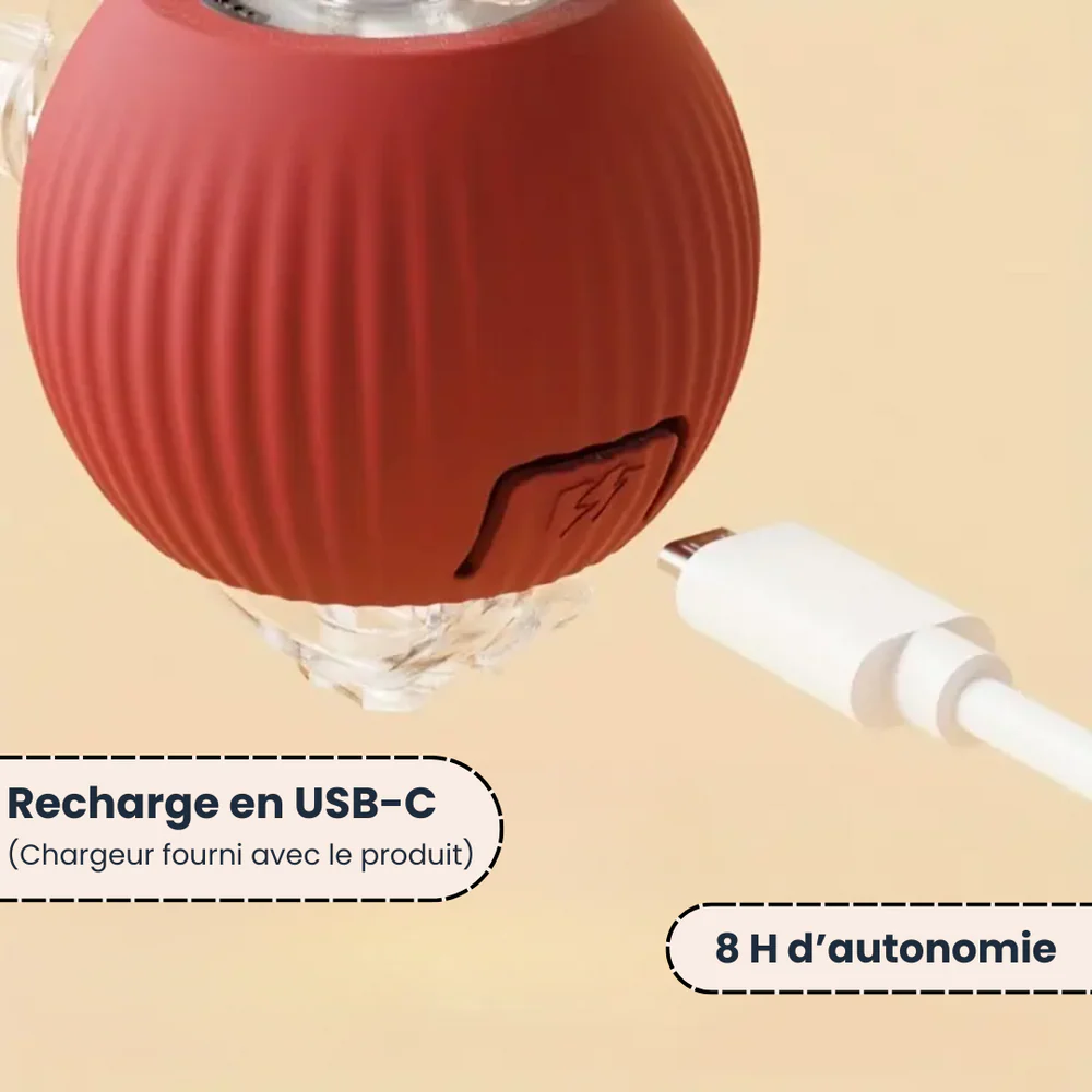 PawQuest –Jouet Interactif pour Chats