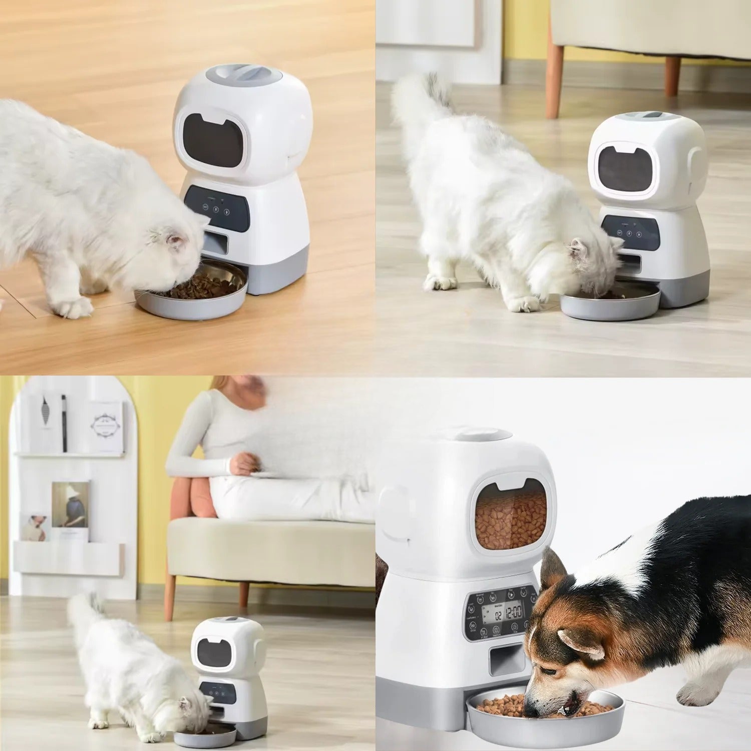 AutoMiam™ - Gamelle automatique