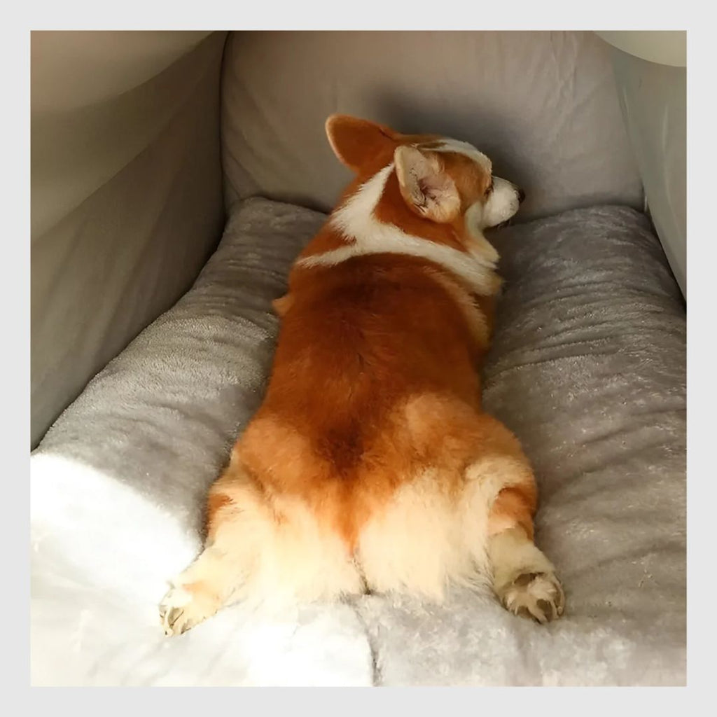 Niche Chaude d'Hiver