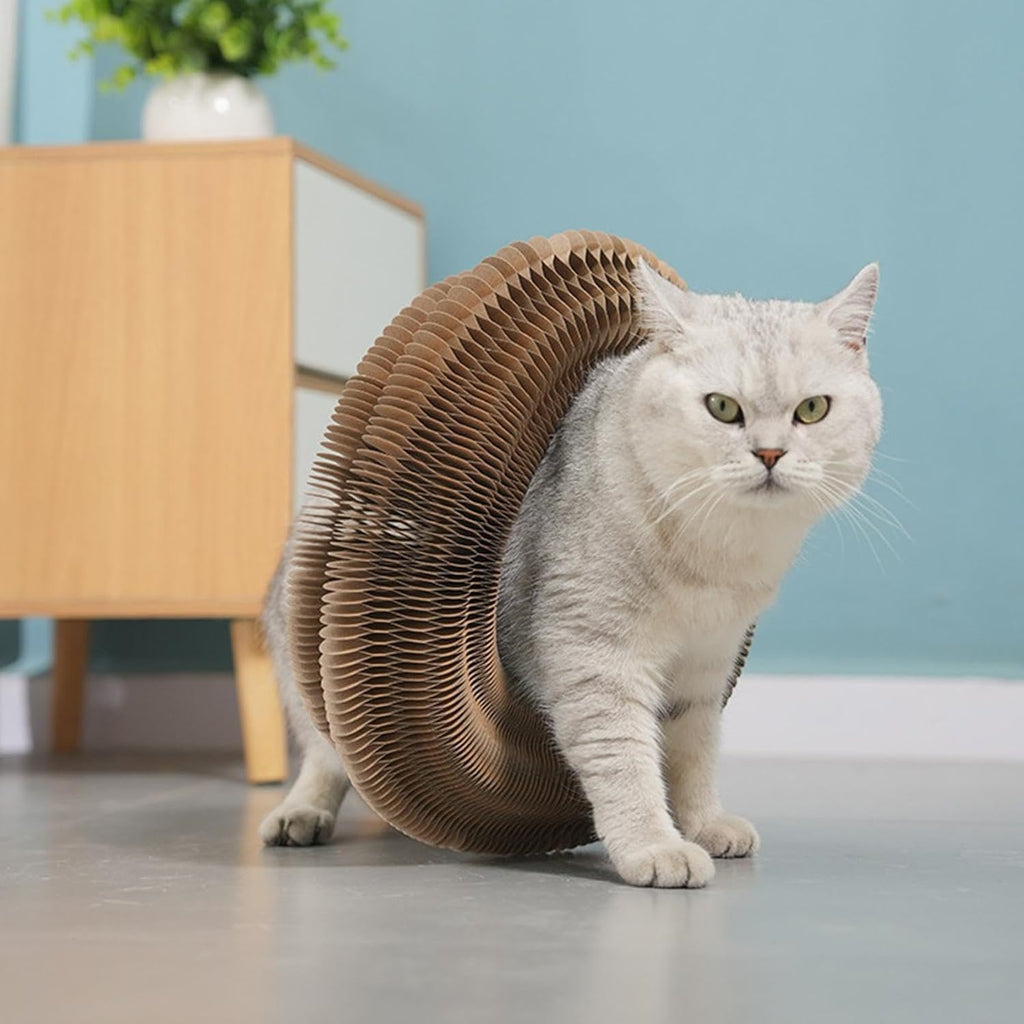 FéliSpin - Jouet Ludique et Relaxant pour Chats