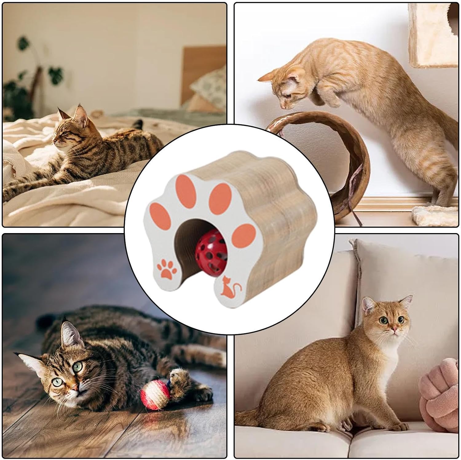FéliSpin - Jouet Ludique et Relaxant pour Chats