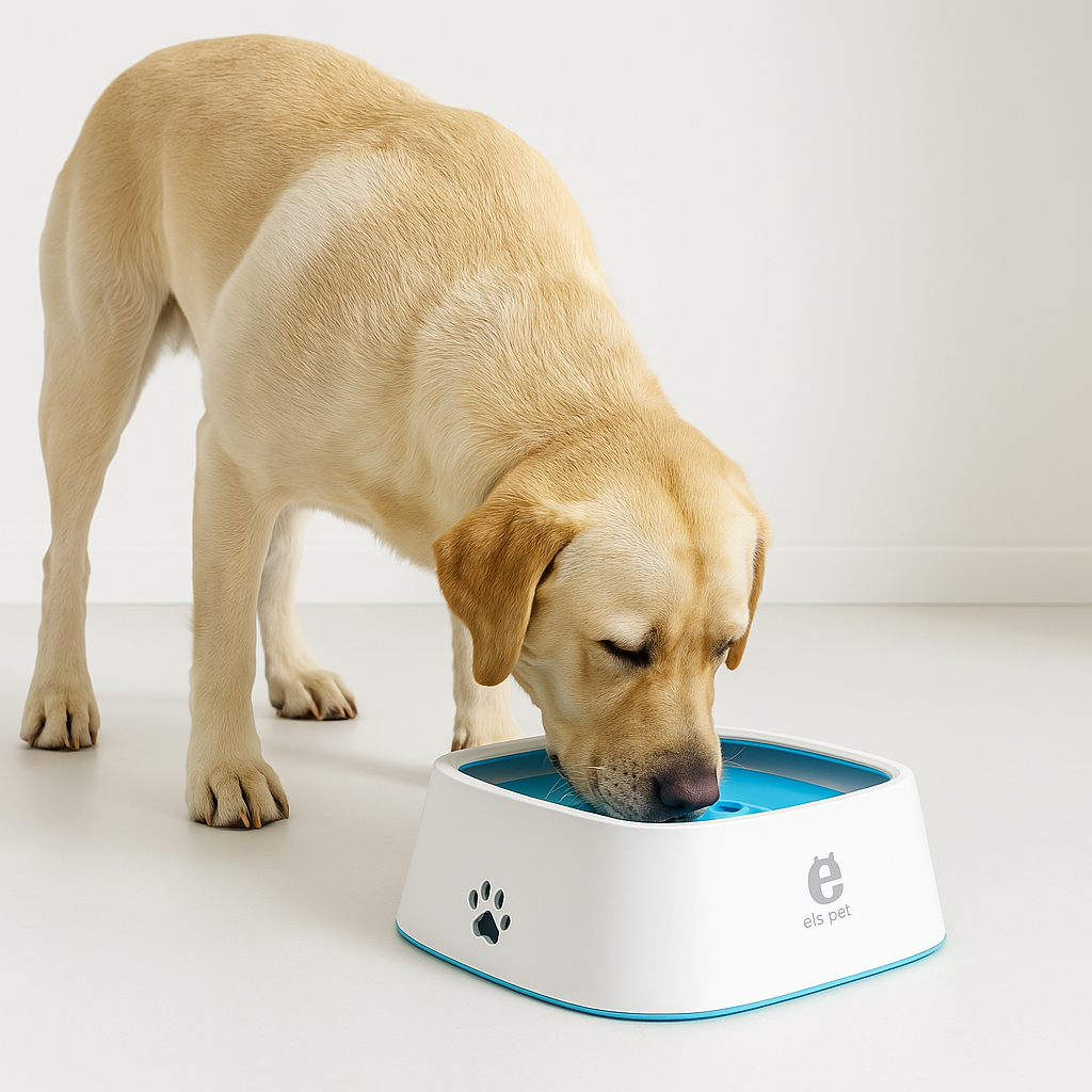 Bol d’eau anti-déversement : Propreté garantie, même en mouvement