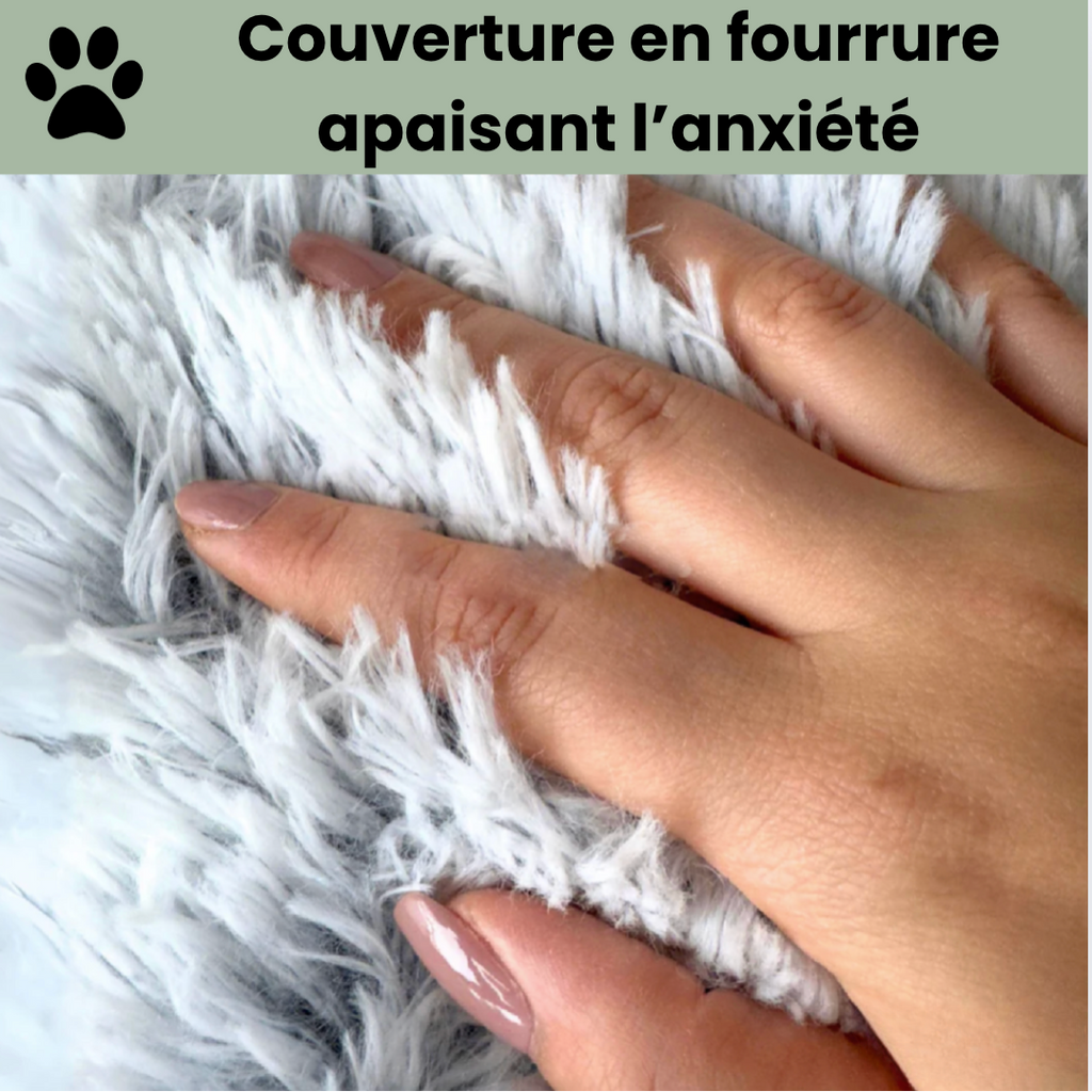 Le Cocon Apaisant : Le Coussin Parfait pour Soulager le Stress de Votre Animal
