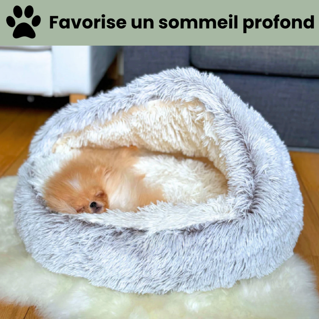 Le Cocon Apaisant : Le Coussin Parfait pour Soulager le Stress de Votre Animal