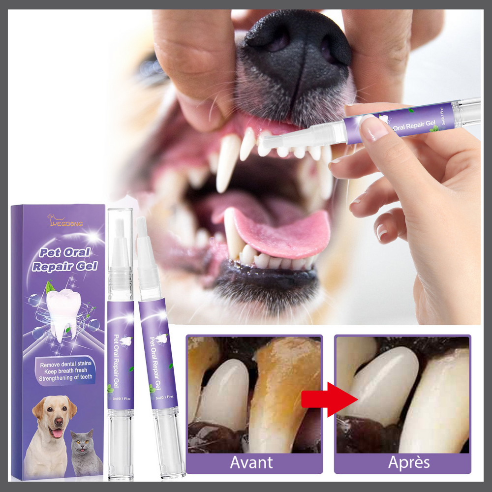 Gel d’Hygiène Buccale pour Chiens et Chats