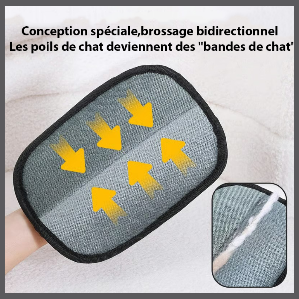 StopPoil - Un intérieur propre et sans poils