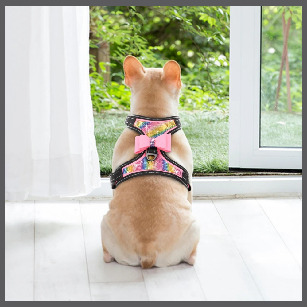 Harnais Bling pour Chien avec Nœud