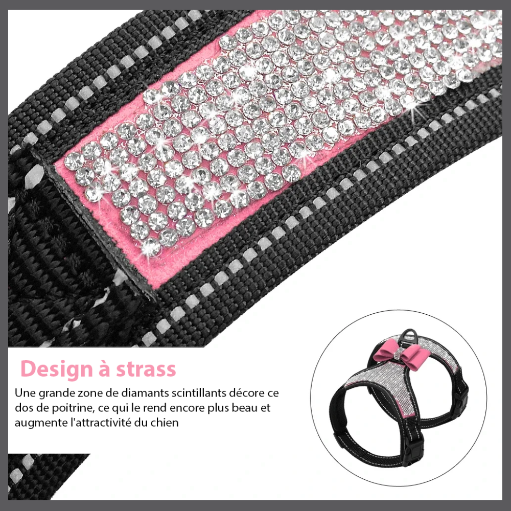 Harnais Bling pour Chien avec Nœud