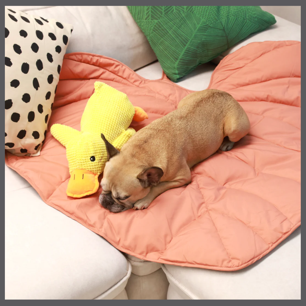 Le Tapis Rafraîchissant PawComfort™