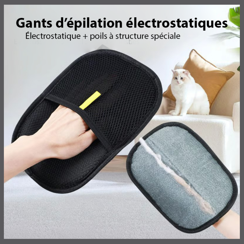 StopPoil - Un intérieur propre et sans poils