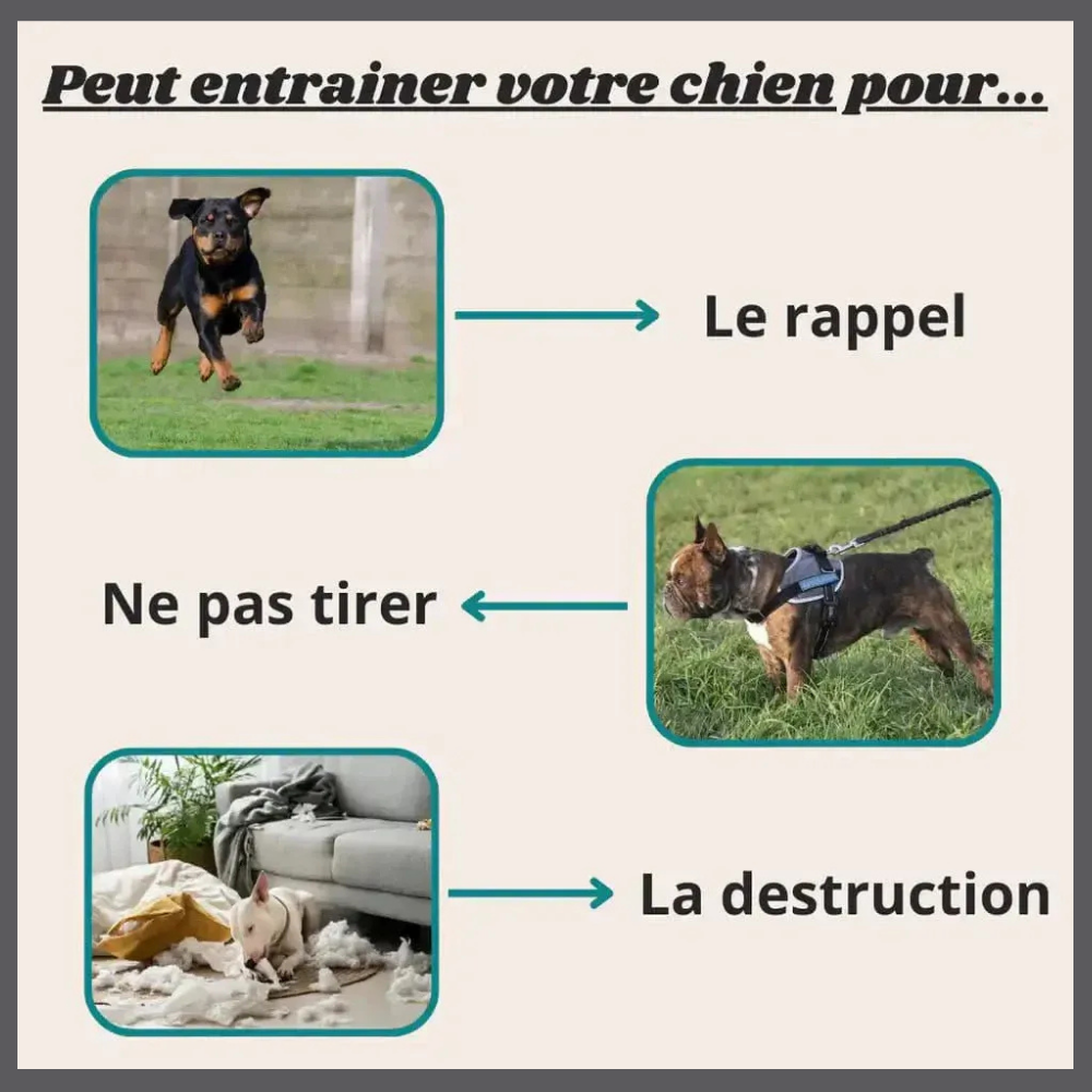 SilenceGuard™ – Bipeur Anti-Aboiement