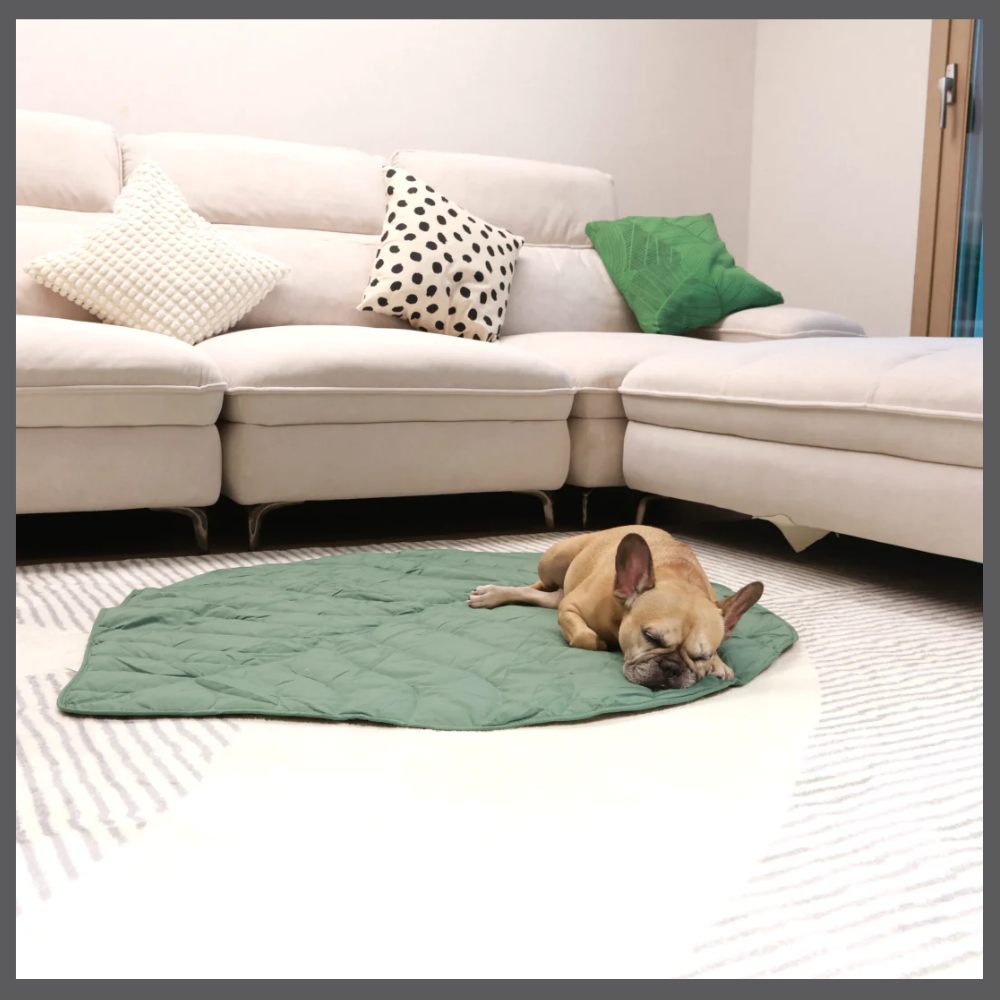 Le Tapis Rafraîchissant PawComfort™