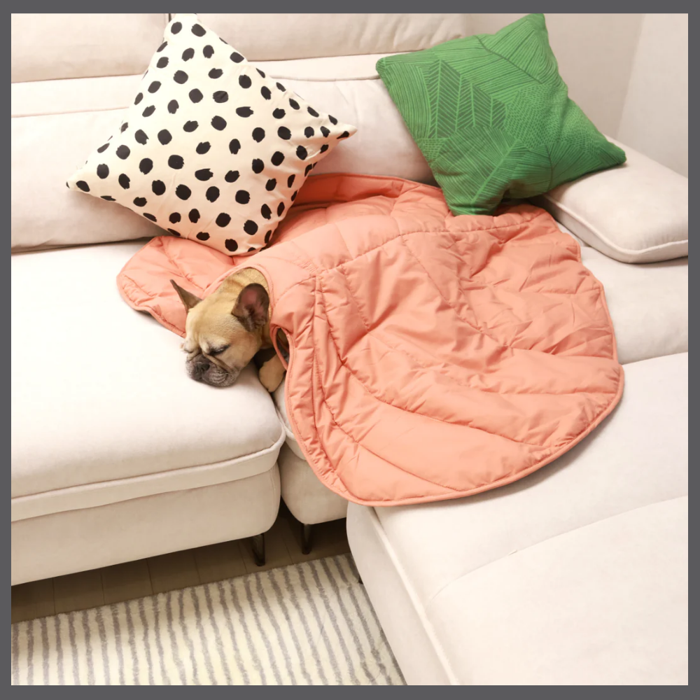 Le Tapis Rafraîchissant PawComfort™