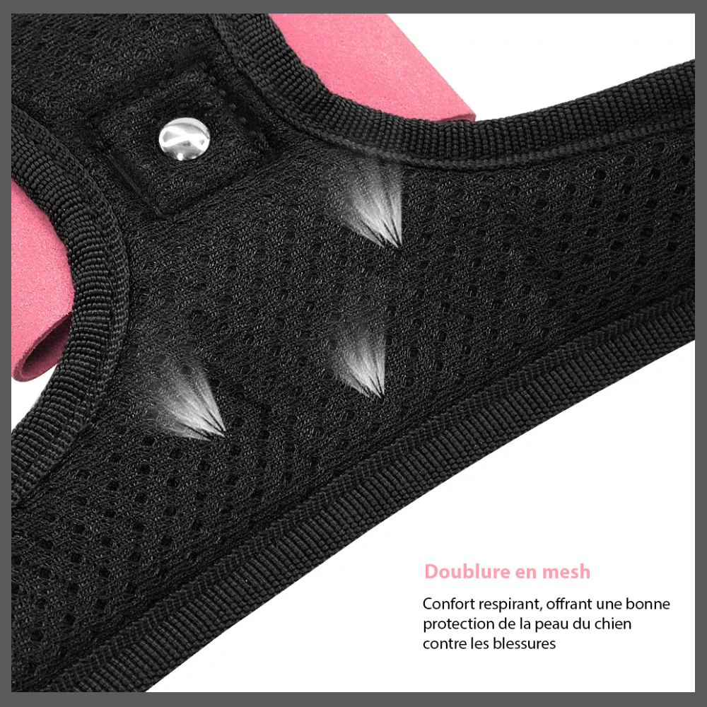 Harnais Bling pour Chien avec Nœud