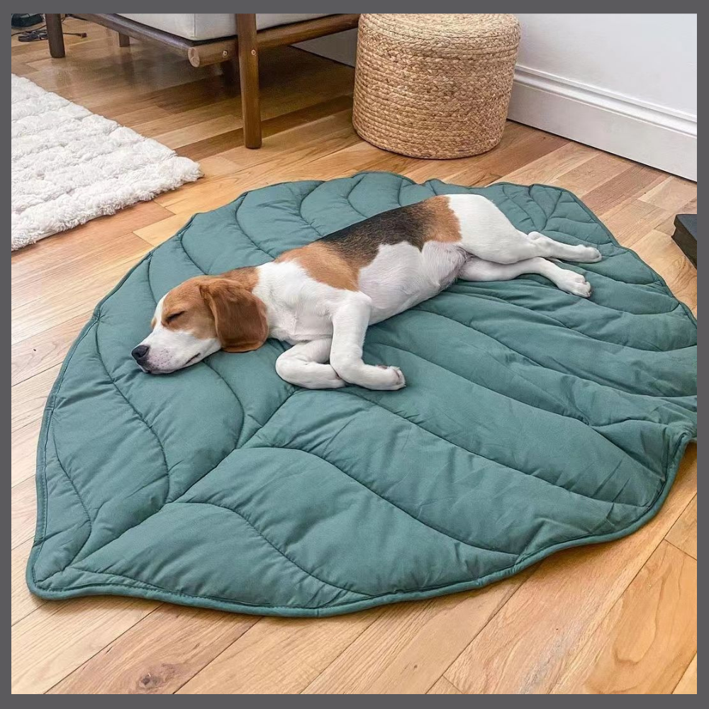 Le Tapis Rafraîchissant PawComfort™