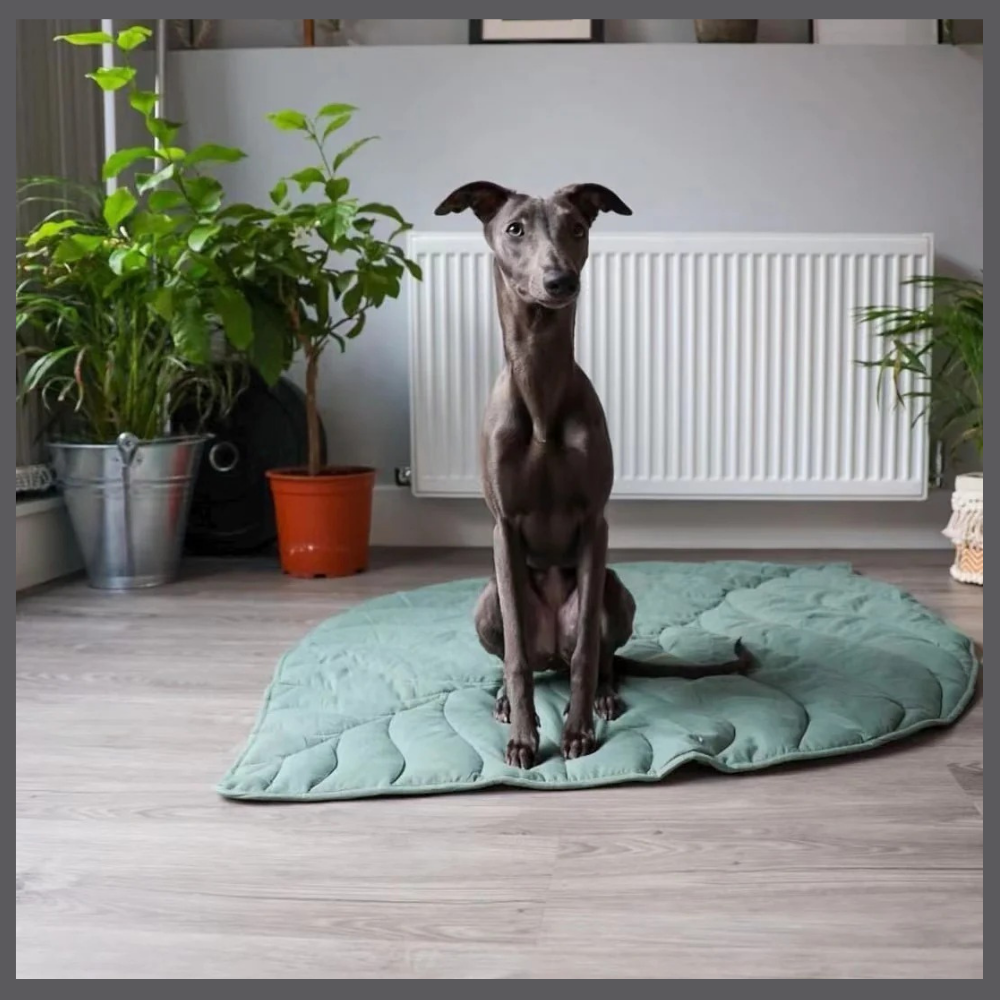 Le Tapis Rafraîchissant PawComfort™