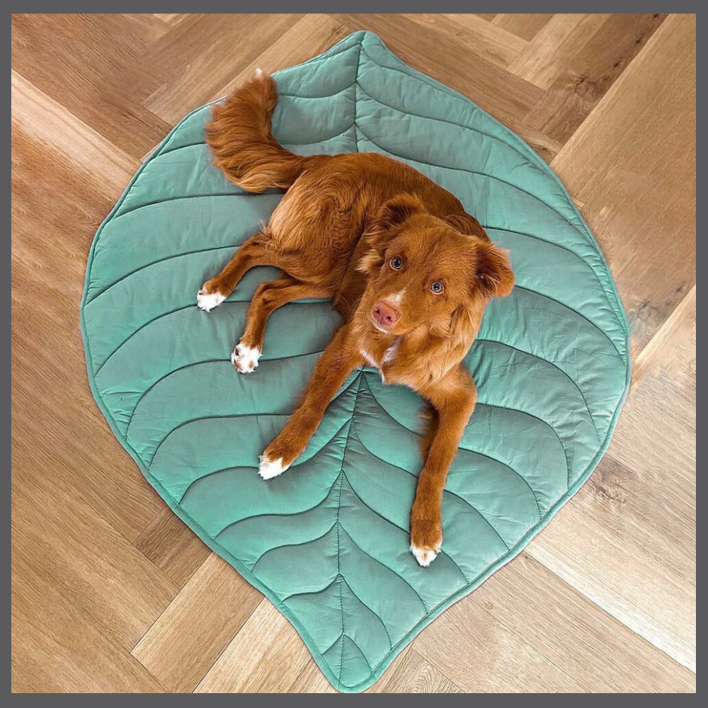 Le Tapis Rafraîchissant PawComfort™