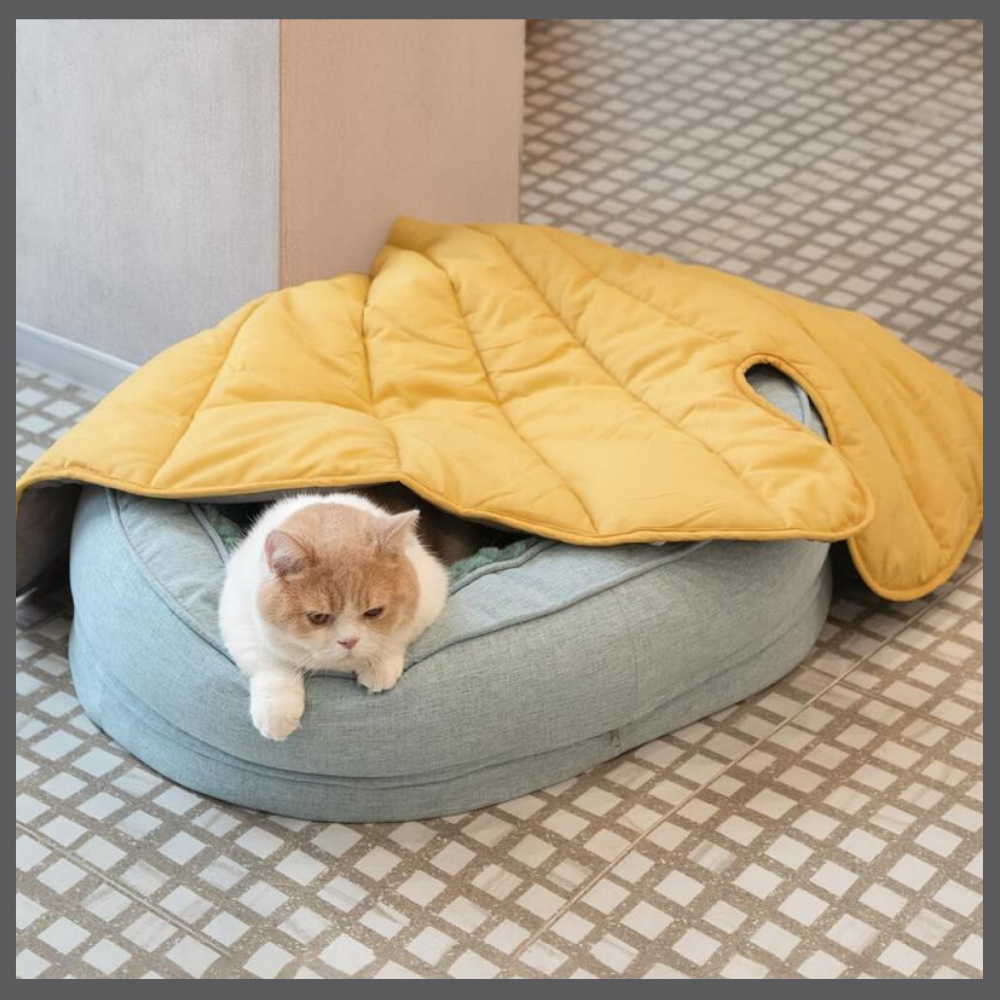 Le Tapis Rafraîchissant PawComfort™