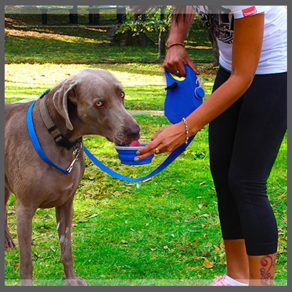 LeashPro™ – La Laisse Hydratante Multifonction pour Chien