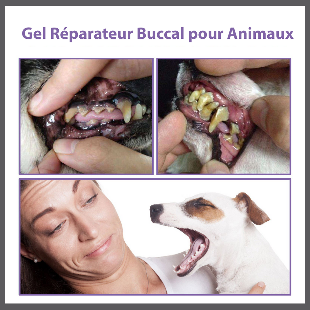 Gel d’Hygiène Buccale pour Chiens et Chats
