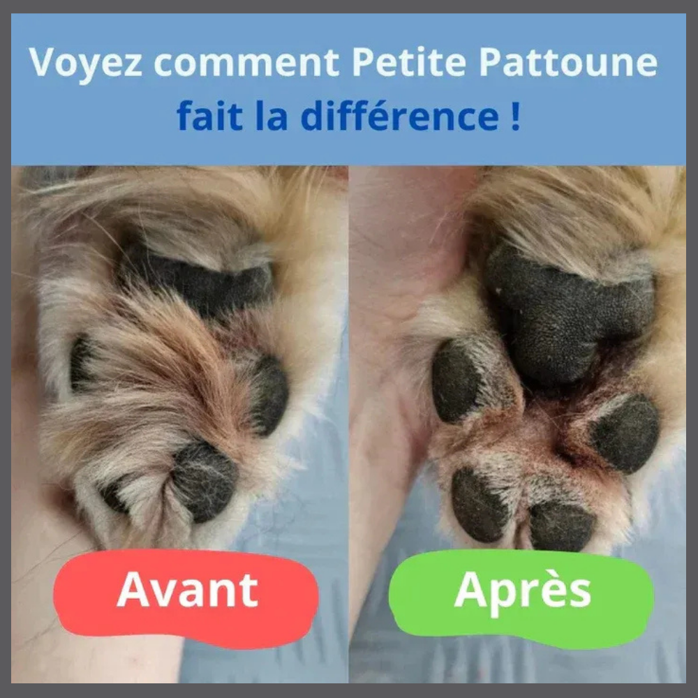 Tondeuse silencieuse vétérinaire