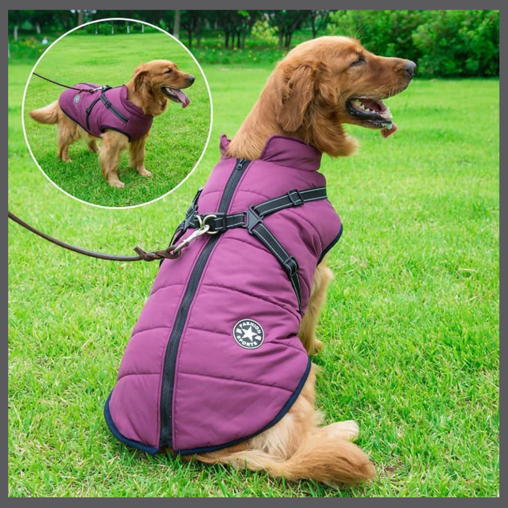 WarmPaws™ - Manteau Imperméable pour Chien