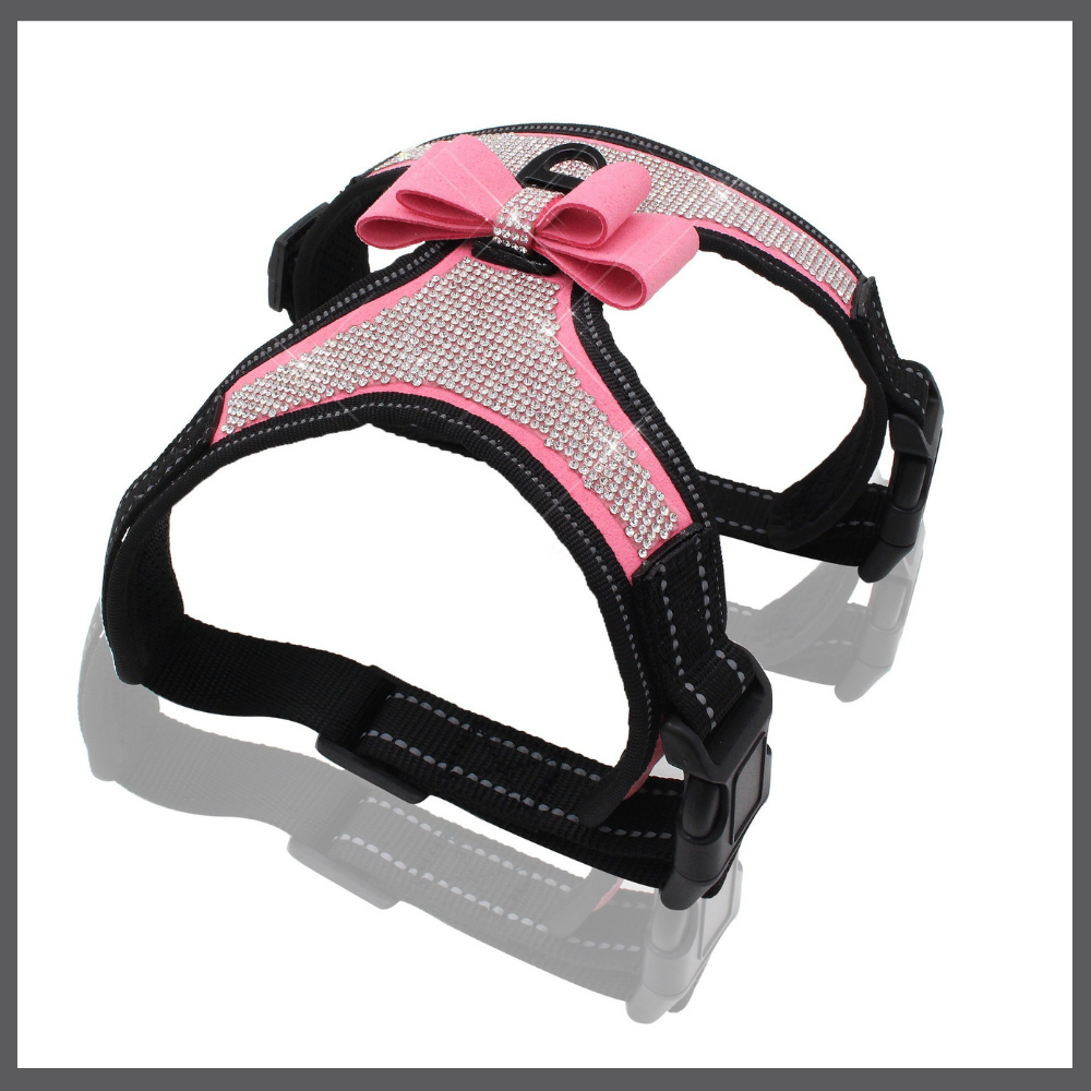 Harnais Bling pour Chien avec Nœud