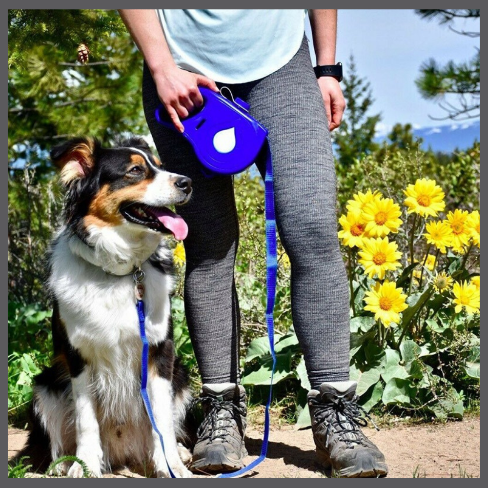 LeashPro™ – La Laisse Hydratante Multifonction pour Chien