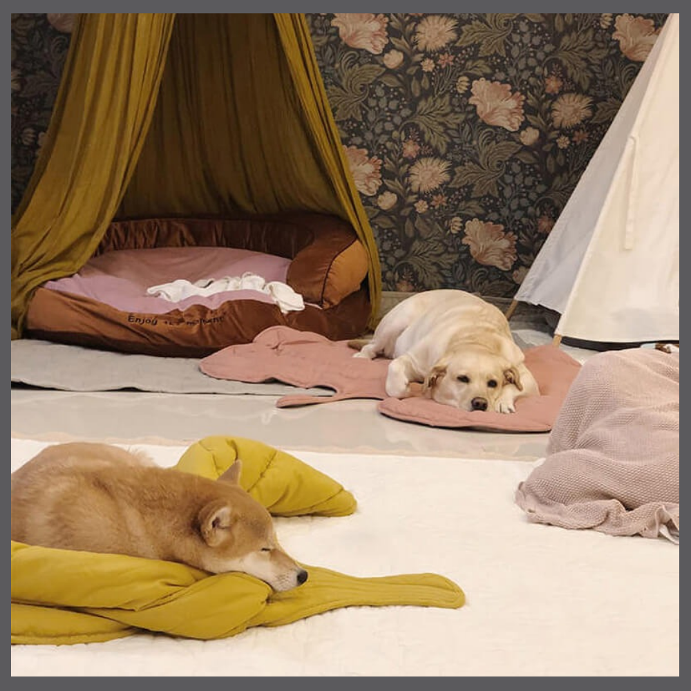 Le Tapis Rafraîchissant PawComfort™