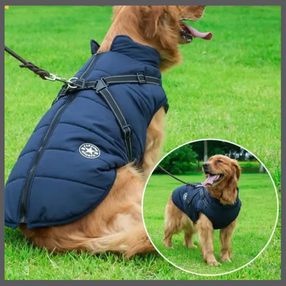 WarmPaws™ - Manteau Imperméable pour Chien