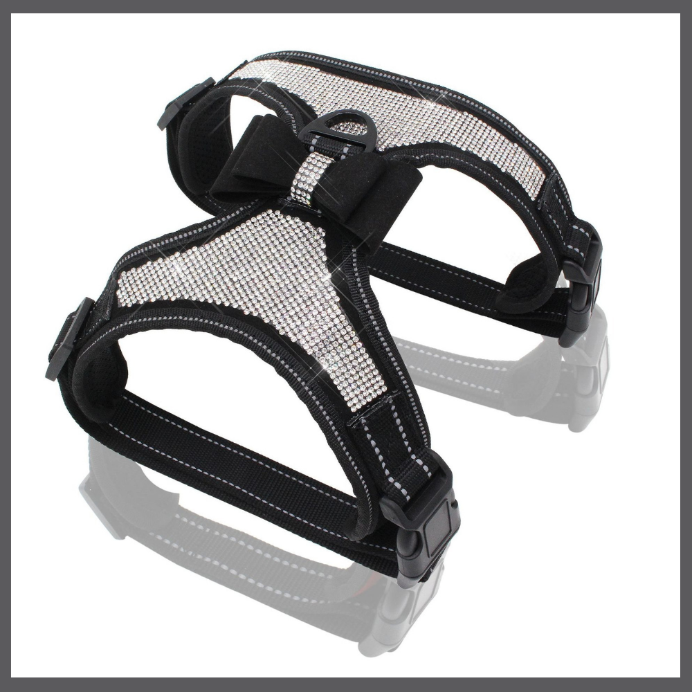 Harnais Bling pour Chien avec Nœud