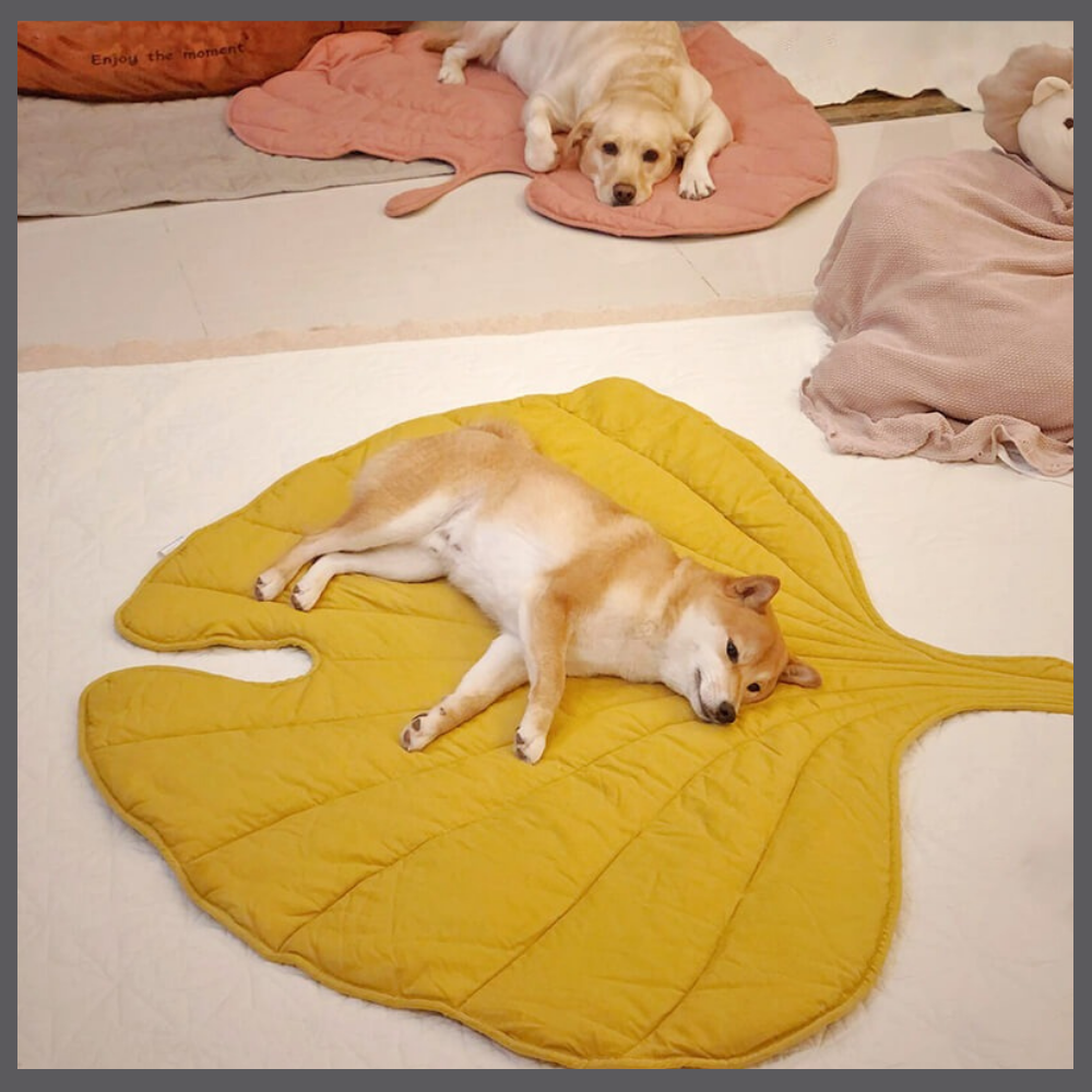 Le Tapis Rafraîchissant PawComfort™