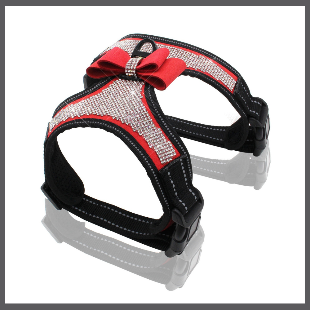 Harnais Bling pour Chien avec Nœud
