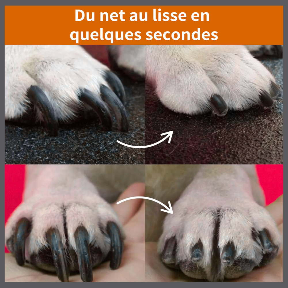 ClipPaw™ – Coupe-Ongles Ultra-Précis pour Animaux