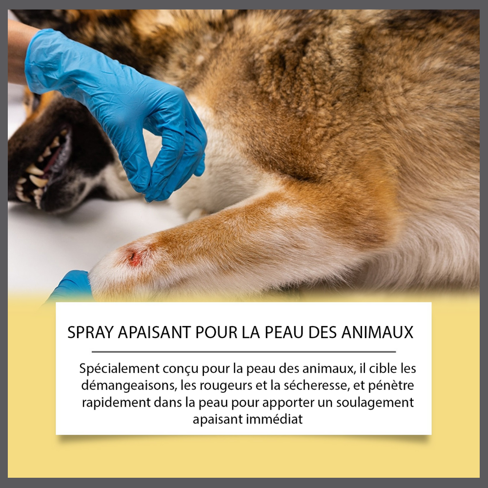Dermapaws™–Spray Naturel Anti-Démangeaisons
